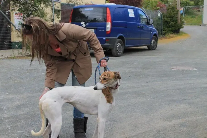 11227773 1014947871856245 112242309392268964 n