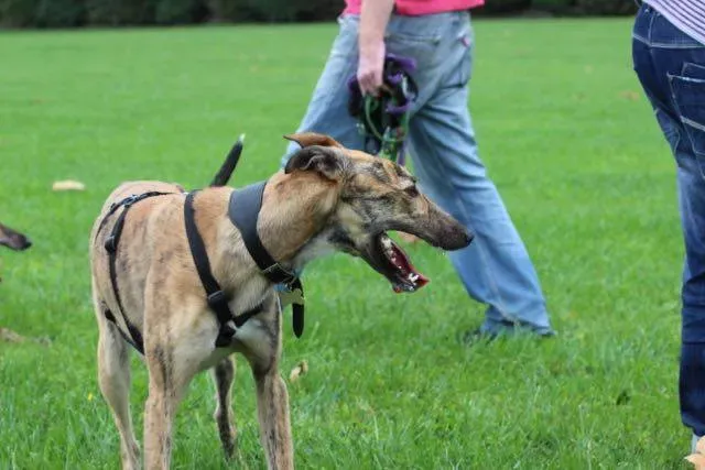 11227901 897465210337335 7190560190109031118 n