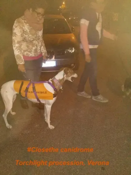 11227903 1503625183290370 1155505045605740660 n