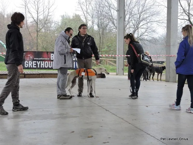 11227949 918532138230642 7807779414188589774 n