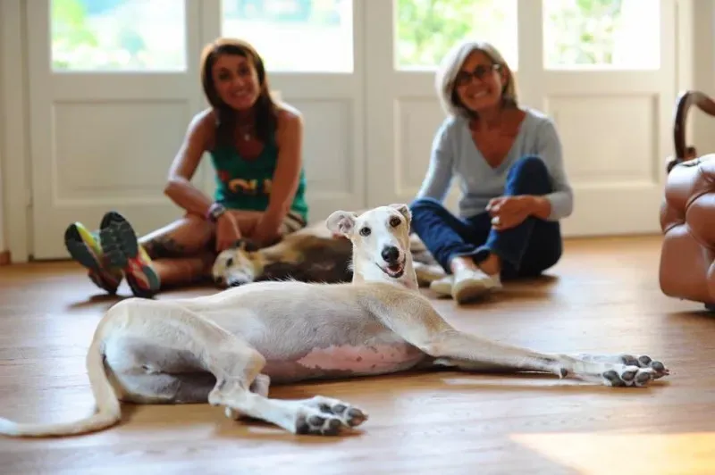 11227962 844776168939573 2306421801683080525 n