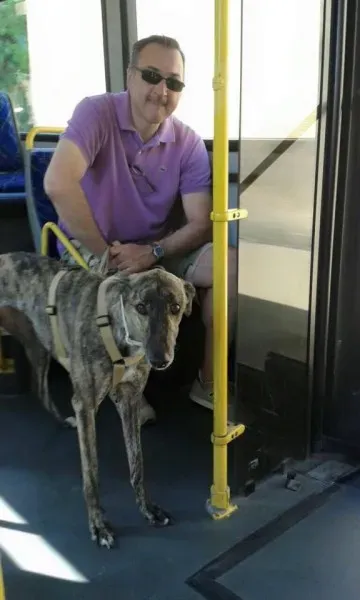 11228038 832360673514456 1439860074954657290 n