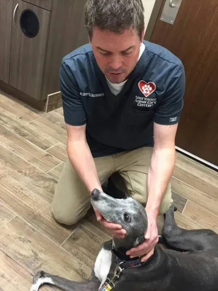 11229403 1770610929833210 3035499795863456989 n