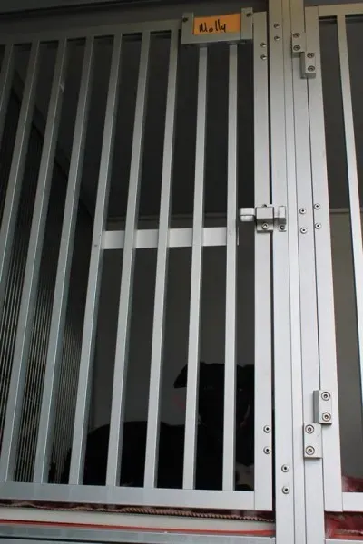 11230975 1014949848522714 1341197319748721868 n