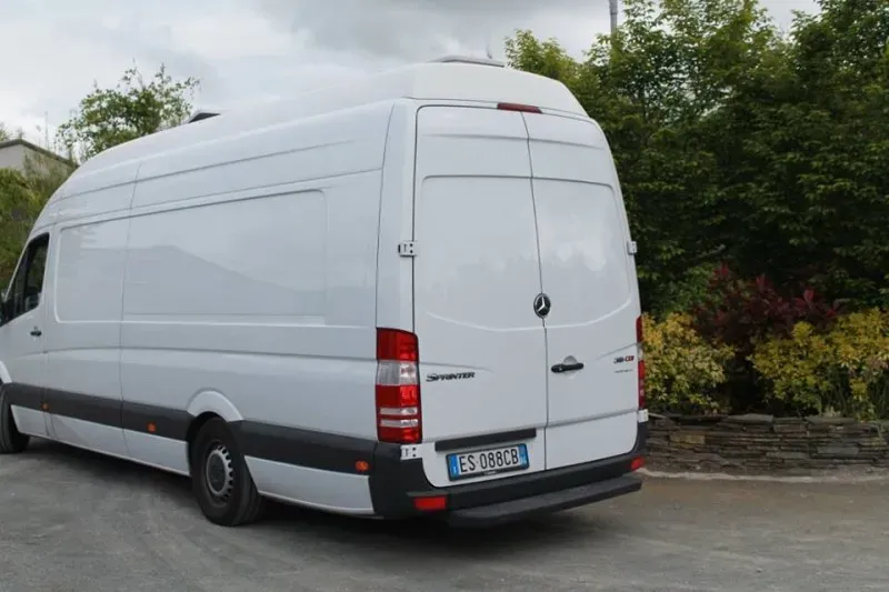 11231268 1014950281856004 4551323185894215667 n