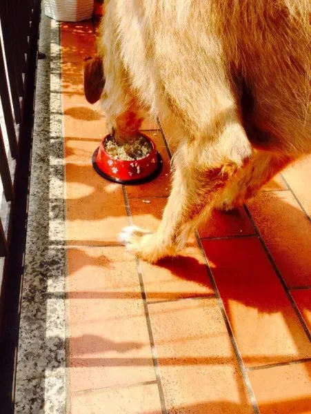 11231679 852164101541861 9200931805744482276 n