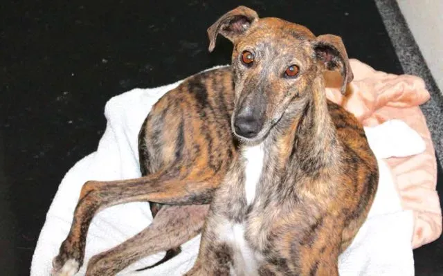 11233342 1110197722331259 7516187202287678147 o 1