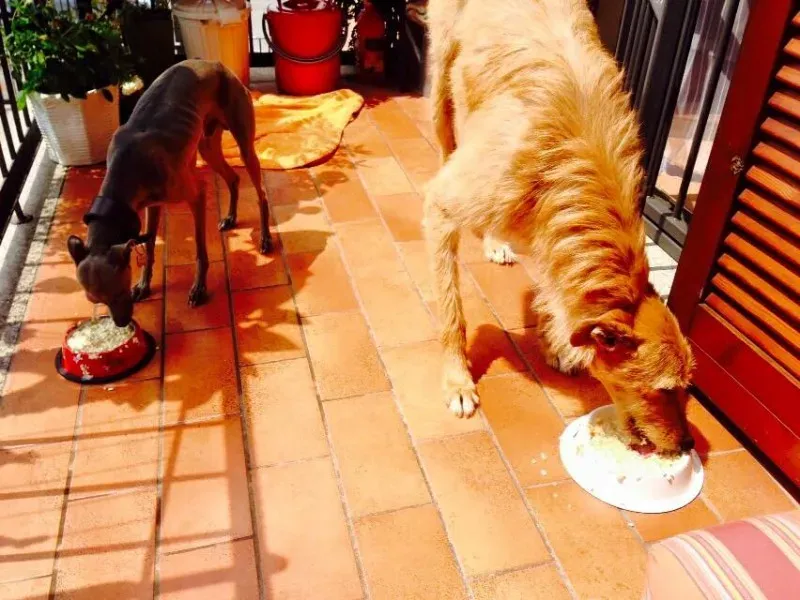 11233426 852164144875190 3533244183186142643 n