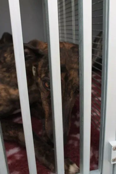 11235437 1014949505189415 900058951027837330 n