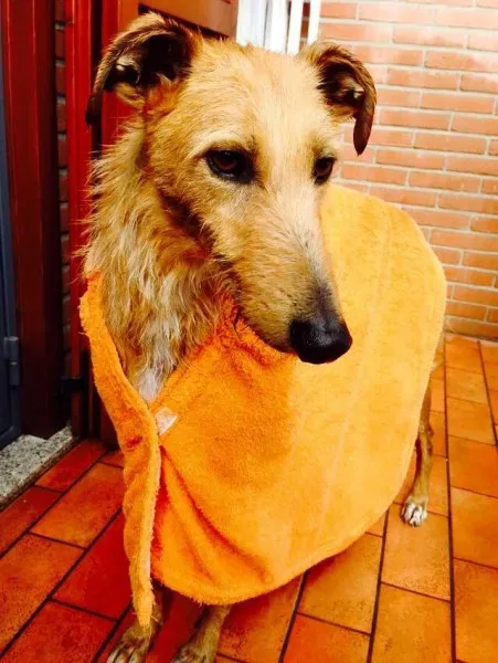 11236149 852141491544122 6091436043378426328 n