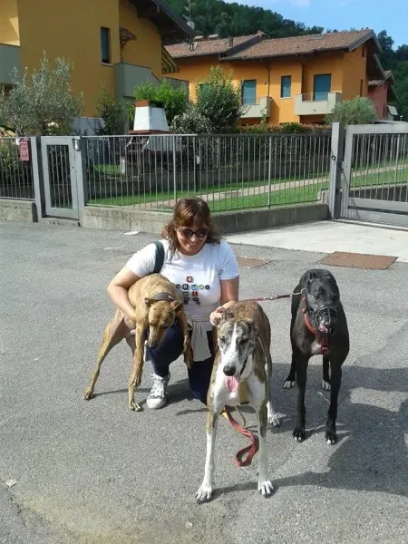 11247085 10204760153380017 752699553815008334 n