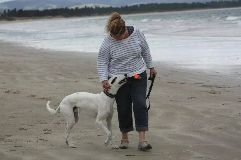 11248075 1644467885786753 2872922917524449807 n