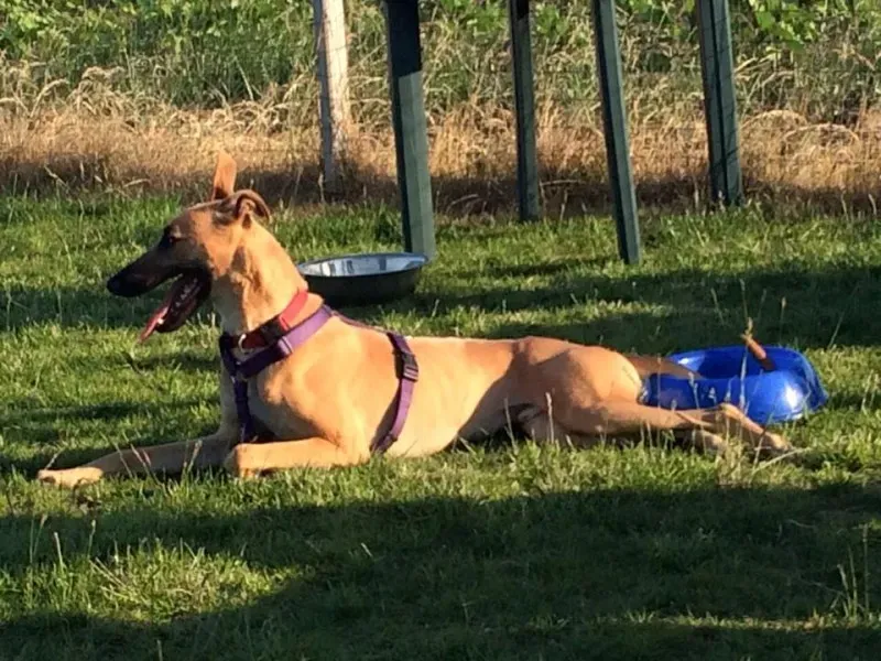 11248153 850385345053070 2767683744251102821 n