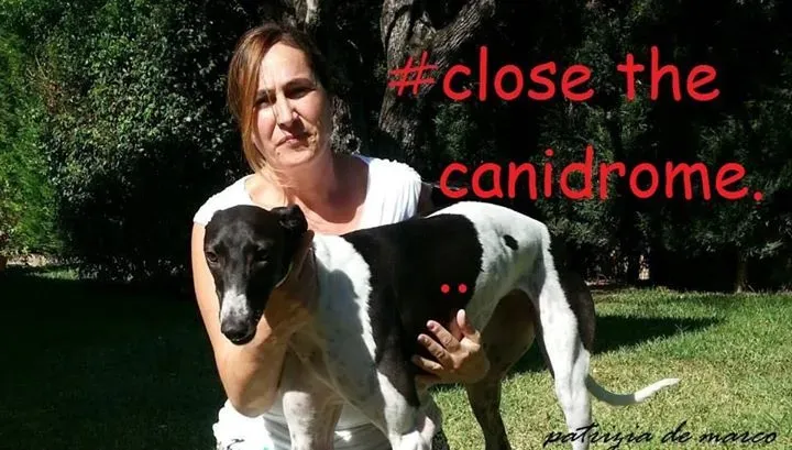 11249639 1648864151991976 8410277745956938328 n