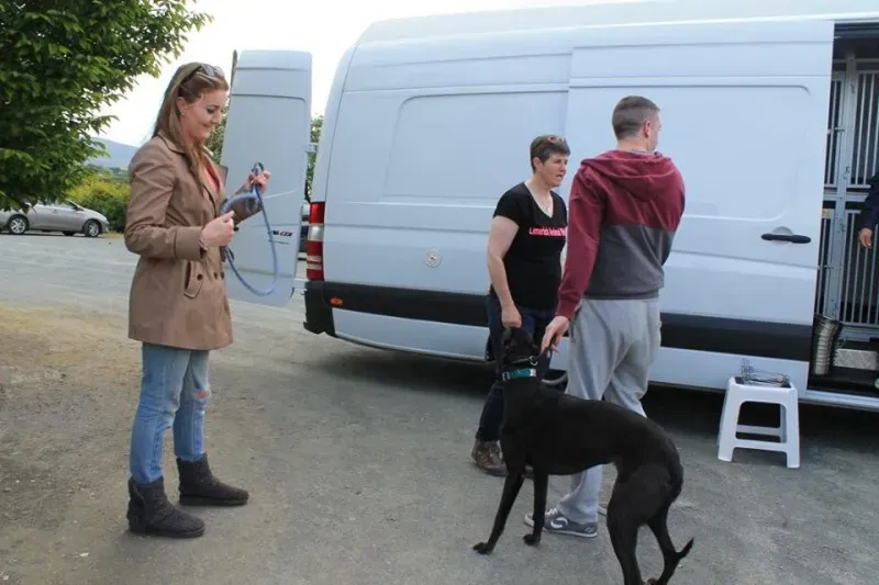 11252161 1014947438522955 8470949146816742097 n