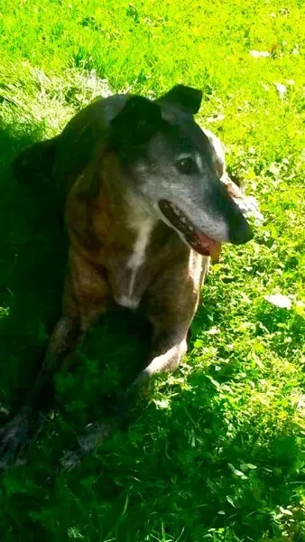 11256611 1426013327707279 2047083483851519682 n