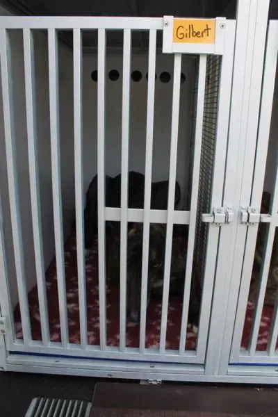 11257014 1014949671856065 1794848176377490776 n