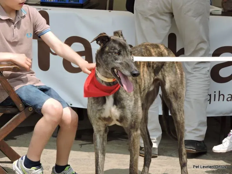 11257774 835107779906412 5237225513176243801 n