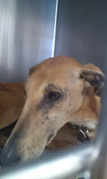 11258401 10205827763946849 270642599 o