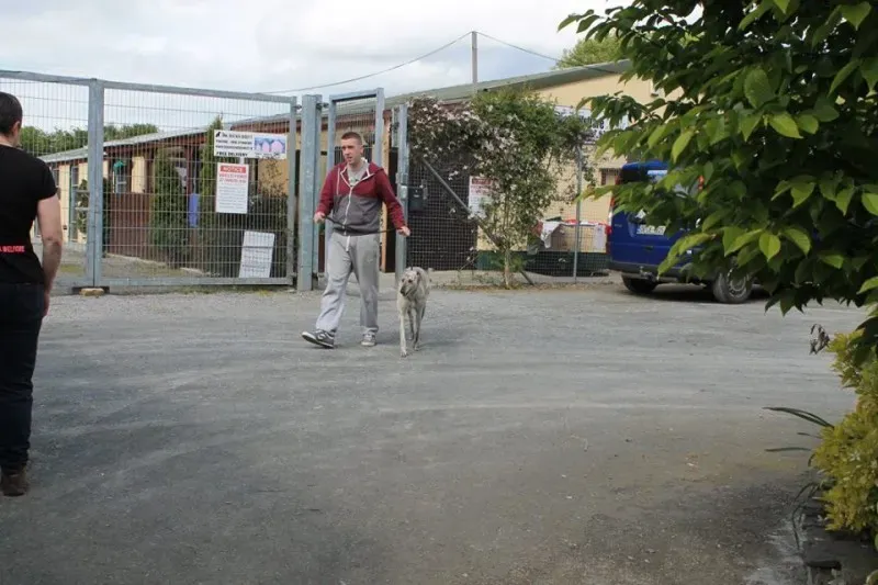 11261509 1014947015189664 7462193014766603015 n