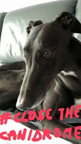 11261787 871085202987159 8066085060920429277 n