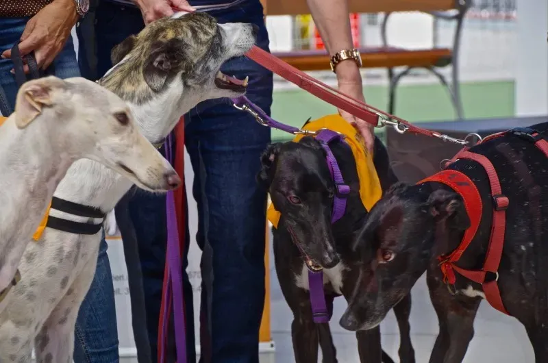 11262427 10202939884097397 8724896360542006088 o