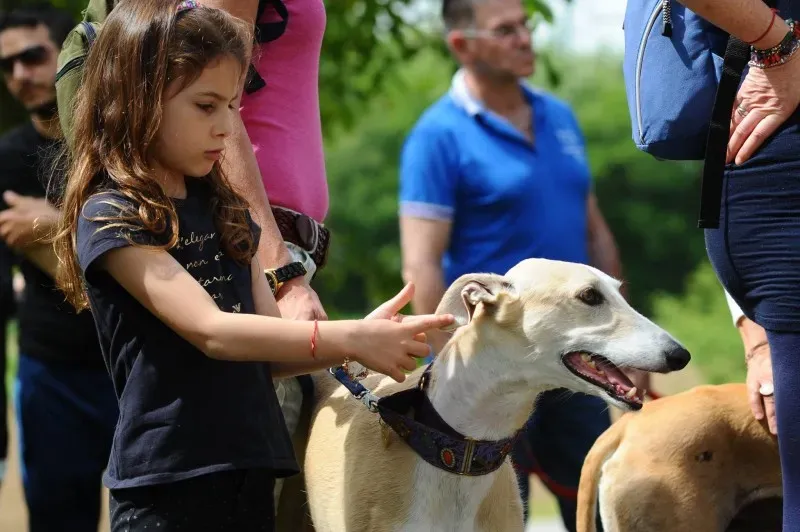 11263107 825632540853936 3700549447422764754 o