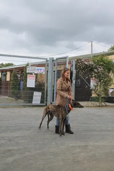 11264827 1014948068522892 6152694443022371210 n