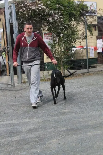 11265022 1014947421856290 6153245172978646423 n