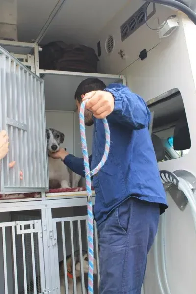 11265147 1014947678522931 6177624069721355324 n