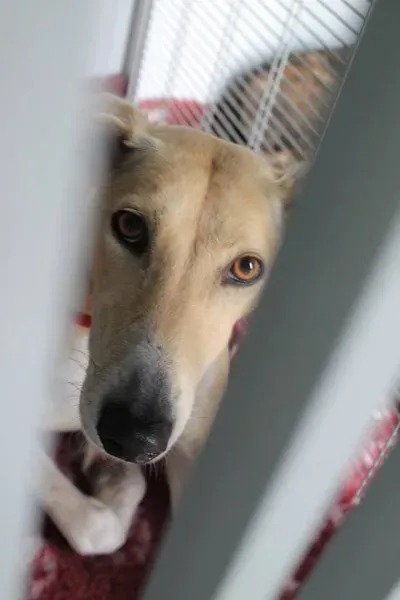 11265224 1014949405189425 2207244322945572265 n