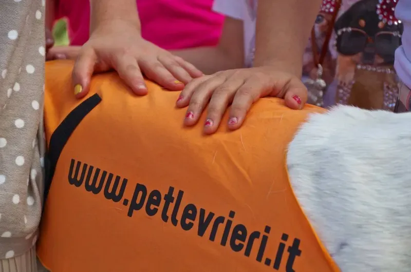 11270679 10202939883697387 5662169278342787775 o