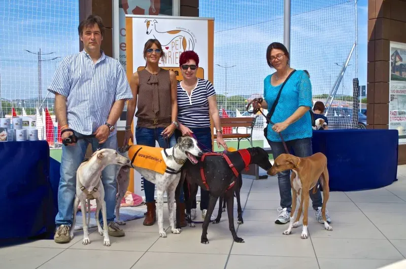 11289608 10202939885897442 3471696090387156453 o