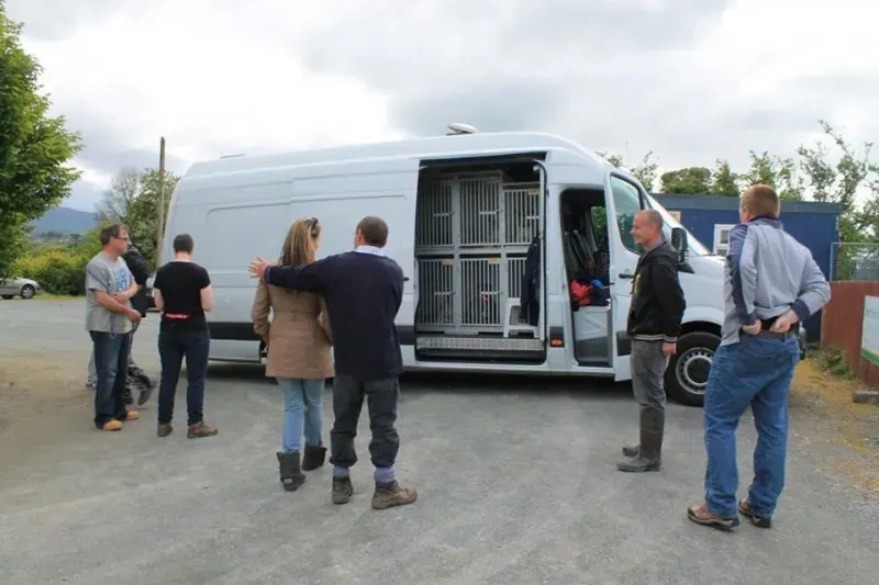 11295591 1014950005189365 2130576386559682849 n