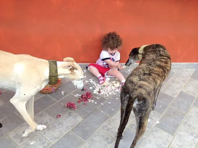 11295595 847118085375908 1320358148212190894 n