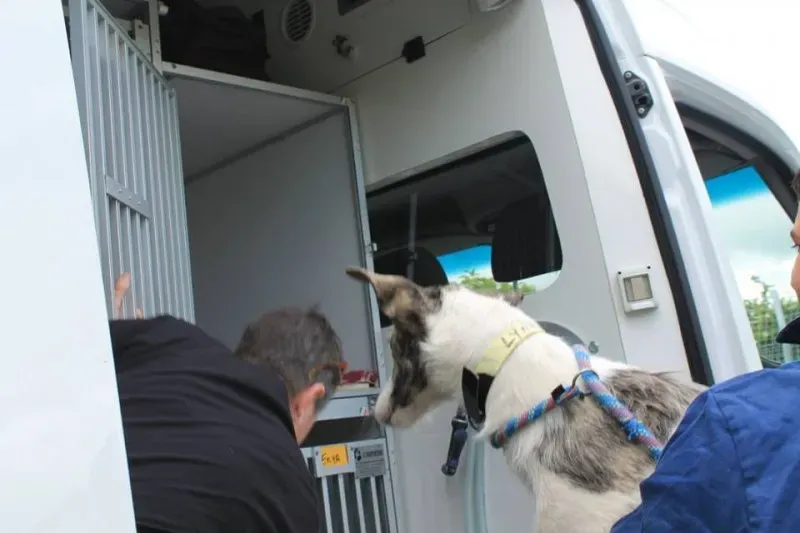 11295640 1014947628522936 5984652933856150986 n