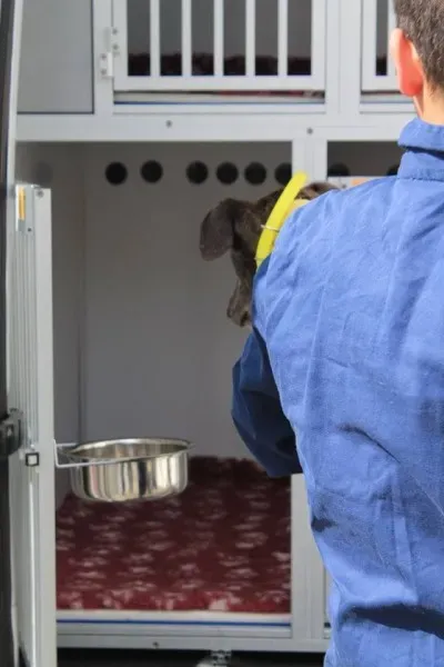 11295668 1014946551856377 2230455142992909735 n