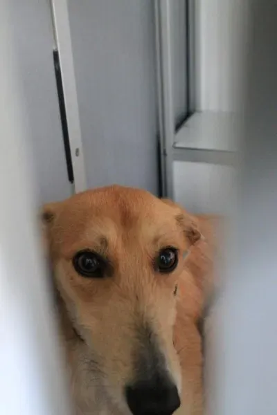 11295816 1014949908522708 7552551593129847173 n