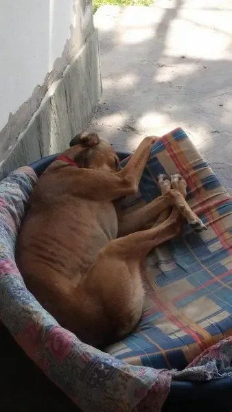 11304489 1423895321269134 1457583423 n