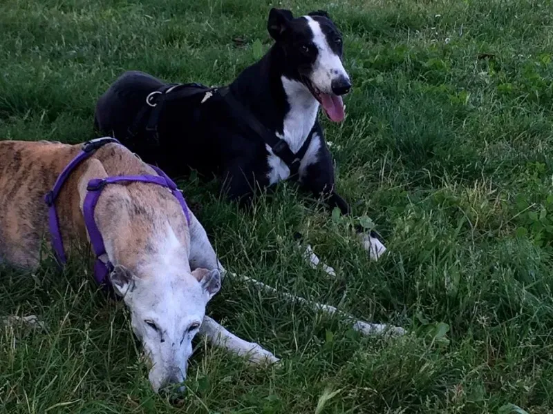 11312669 689951134464632 2536306762759112060 o