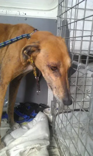 11326901 10205827762706818 1384820474 o