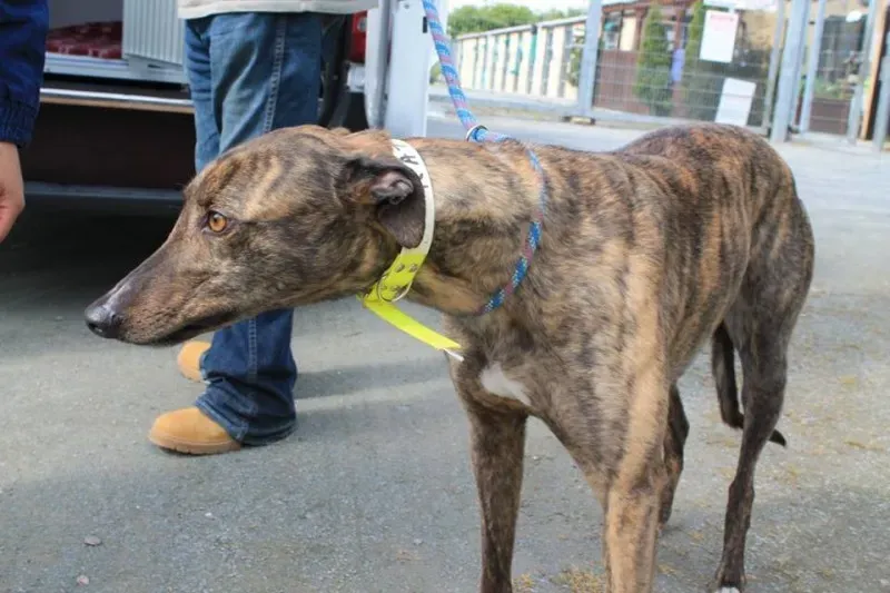 11329794 1014946891856343 3499317357593086418 n