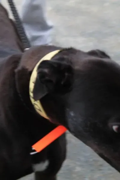 11329796 1014948908522808 3489188934437877991 n