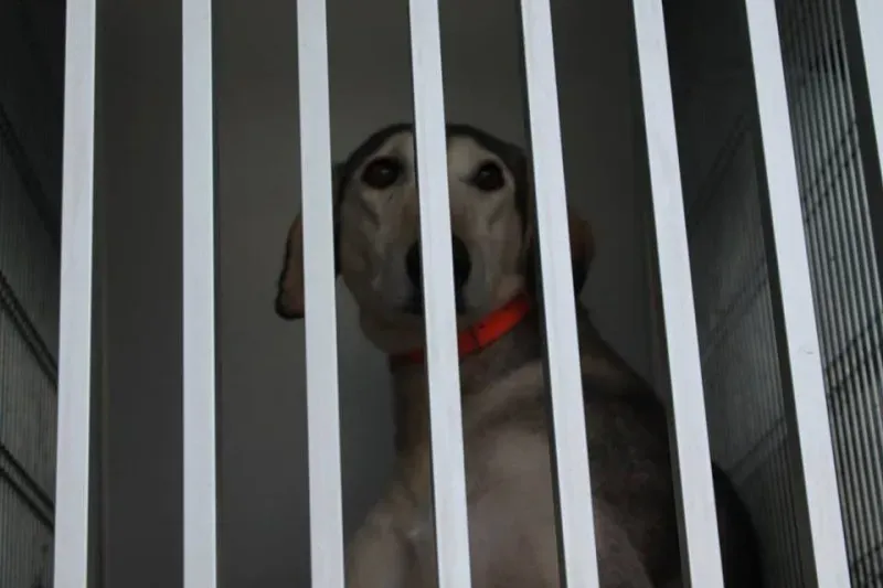 11329796 1014949808522718 6926362307371928936 n