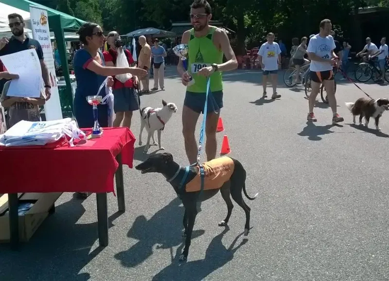 11329805 912401848820841 2849938294878620450 n