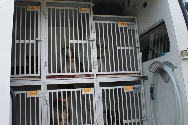 11329808 1014949748522724 7181958289697163089 n