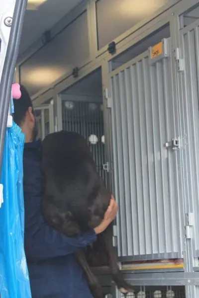 11329815 1014949001856132 4829642626195042071 n