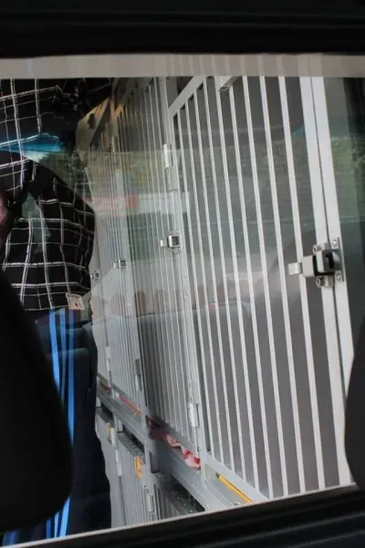 11329872 1014949961856036 7004038736041471145 n