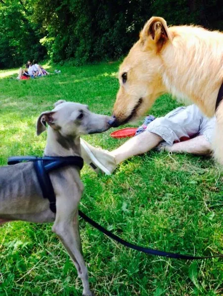 11329915 852752738149664 5175003156744689248 n