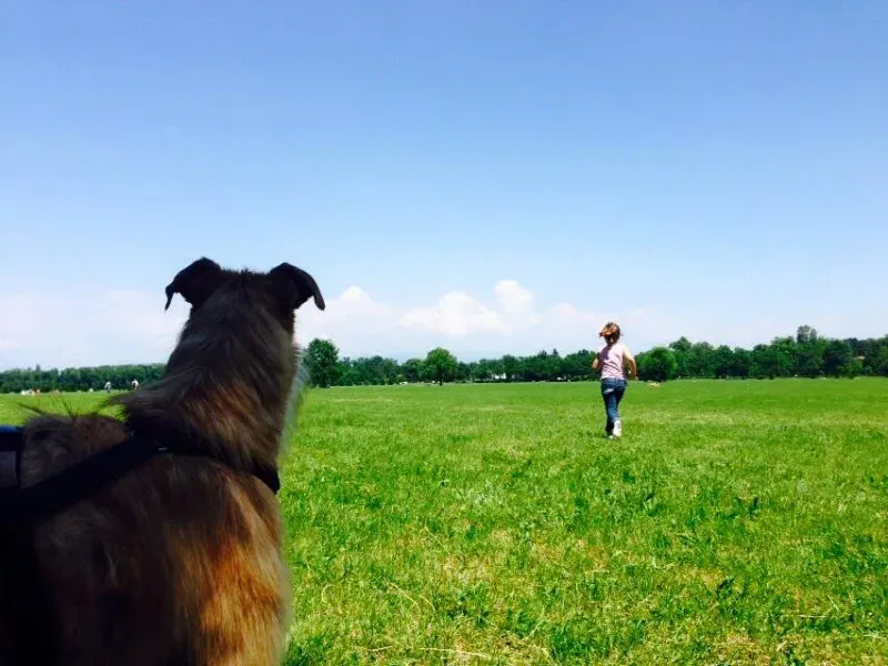 11329953 852752618149676 1763350778118747034 n